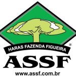 7. HARAS FIGUEIRA